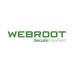 Webroot | SecureAnywhere | Antivirus | 1 year(s) | License quantity 1 user(s) | 11100110