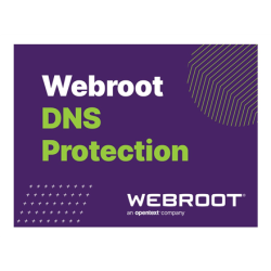 Webroot | DNS Protection with GSM Console | 1 year(s) | License quantity 10-99 user(s) | 152300001B