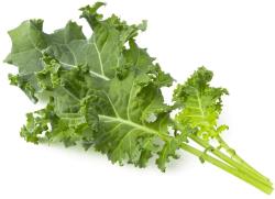 Click & Grow Smart Refill Green Kale 3pcs | SGR90X3